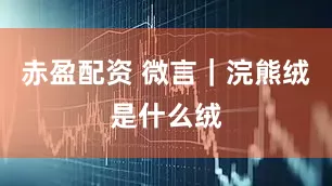 赤盈配资 微言｜浣熊绒是什么绒